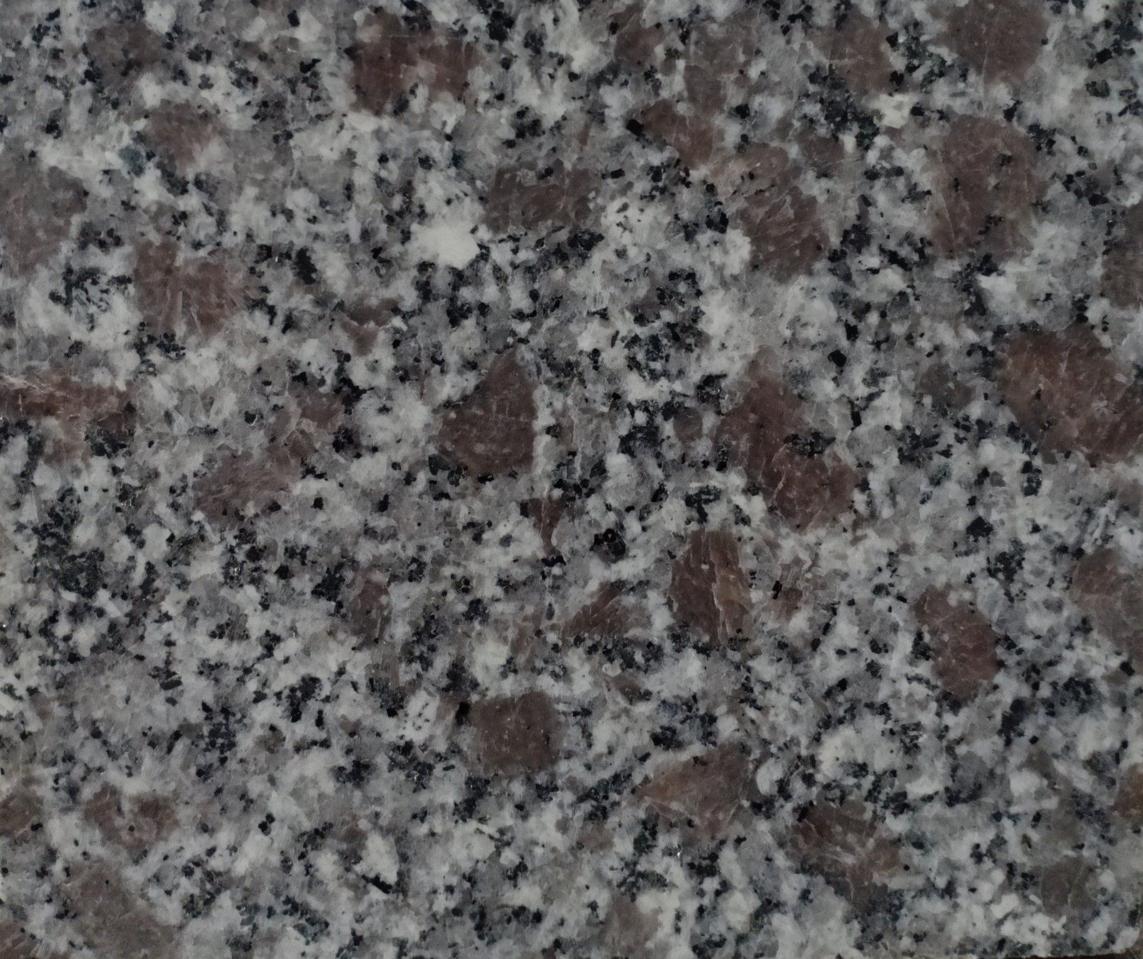 Đá Hoa Cương Tím Hoa Cà – Ốp Tường